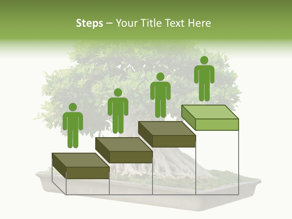 Season Walnut Forest PowerPoint Template