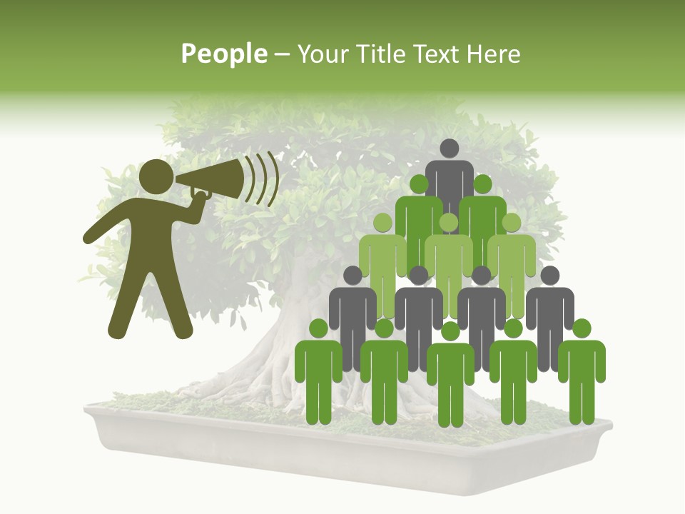 Season Walnut Forest PowerPoint Template