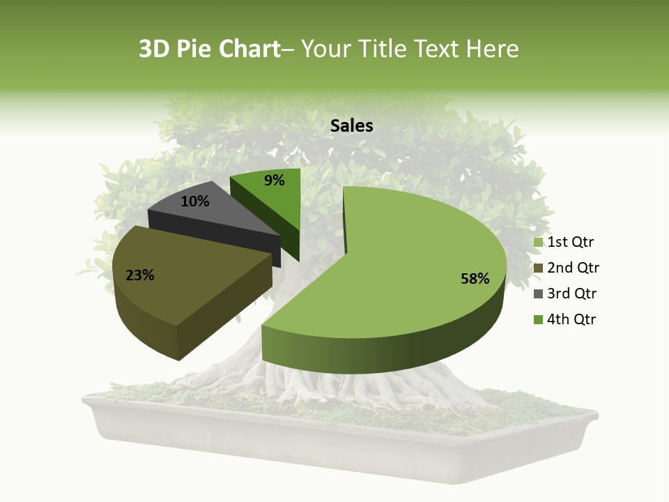 Season Walnut Forest PowerPoint Template