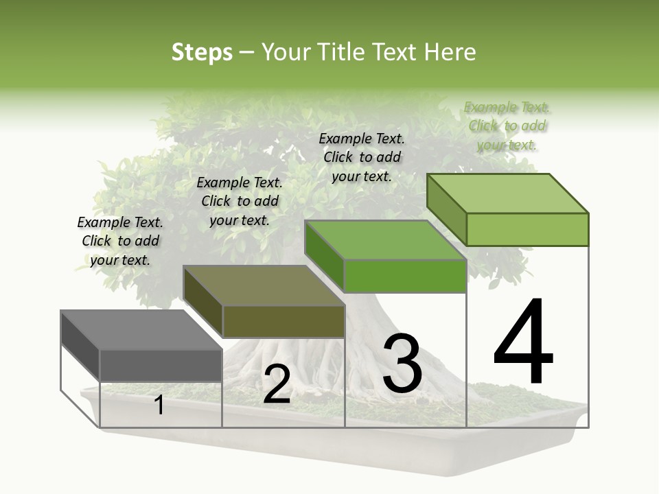 Season Walnut Forest PowerPoint Template