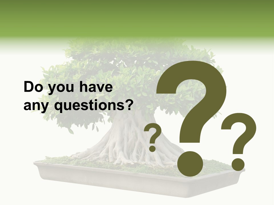 Season Walnut Forest PowerPoint Template