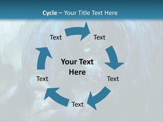 Skull Flier Mythology PowerPoint Template
