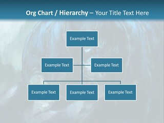 Skull Flier Mythology PowerPoint Template