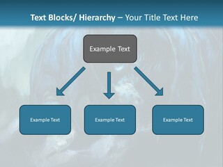 Skull Flier Mythology PowerPoint Template