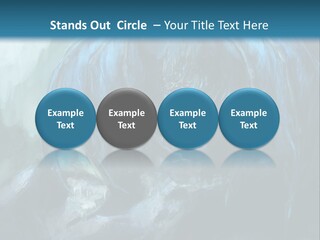 Skull Flier Mythology PowerPoint Template