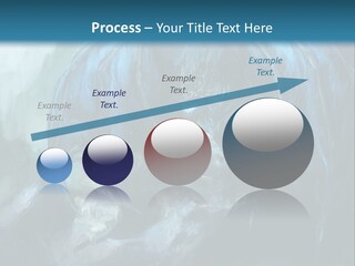 Skull Flier Mythology PowerPoint Template