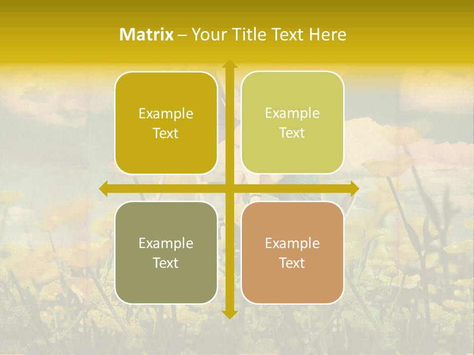 Woman Art Colour PowerPoint Template