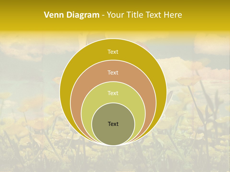 Woman Art Colour PowerPoint Template