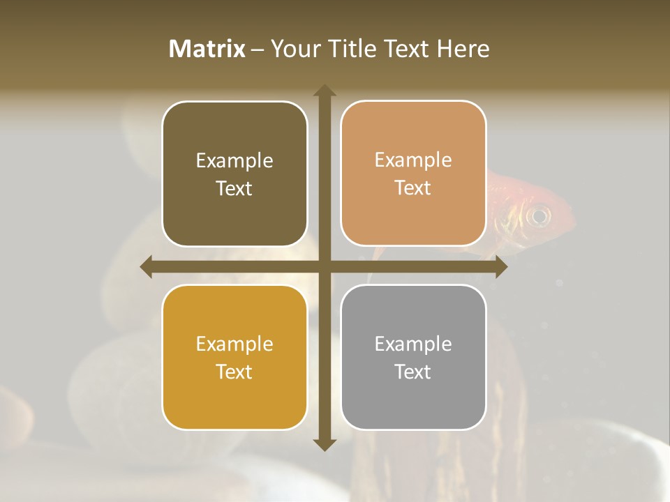 Pet Stone Reflection PowerPoint Template