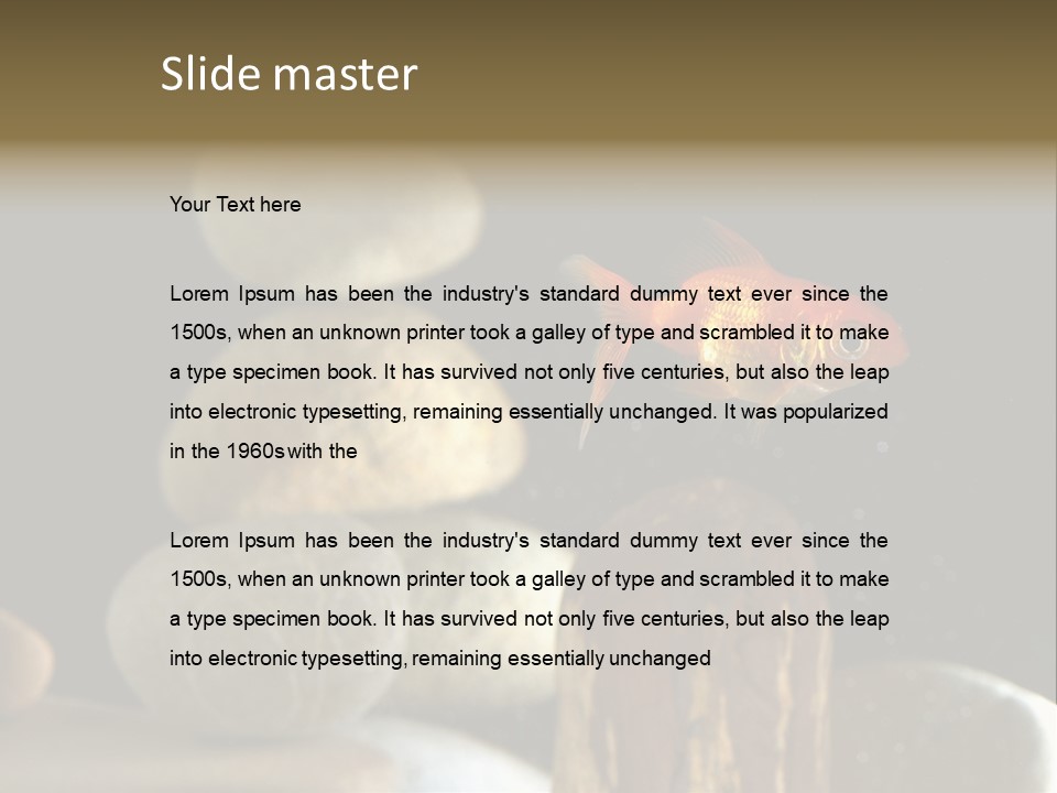 Pet Stone Reflection PowerPoint Template