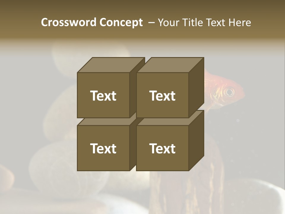 Pet Stone Reflection PowerPoint Template