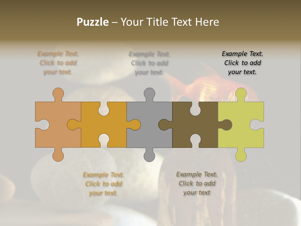 Pet Stone Reflection PowerPoint Template