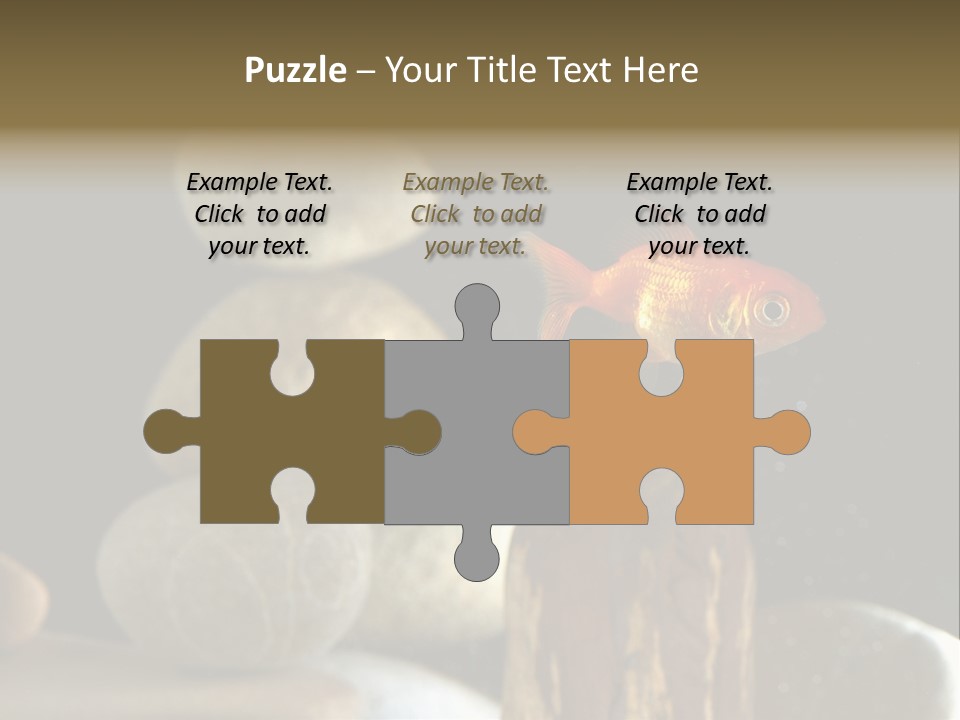 Pet Stone Reflection PowerPoint Template