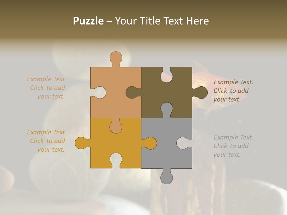 Pet Stone Reflection PowerPoint Template