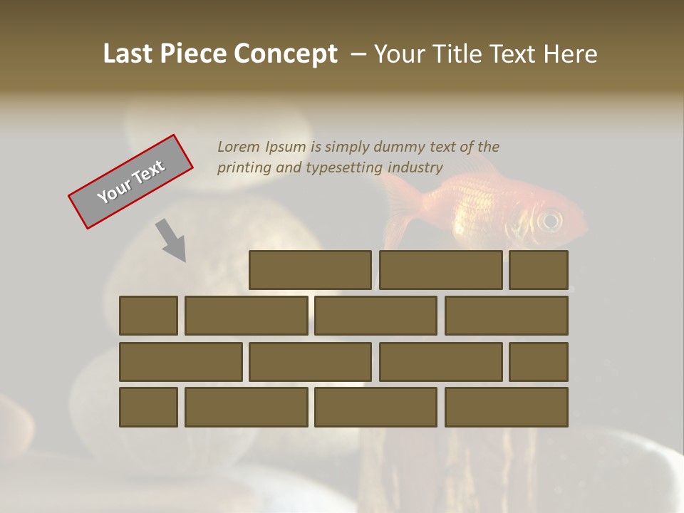 Pet Stone Reflection PowerPoint Template