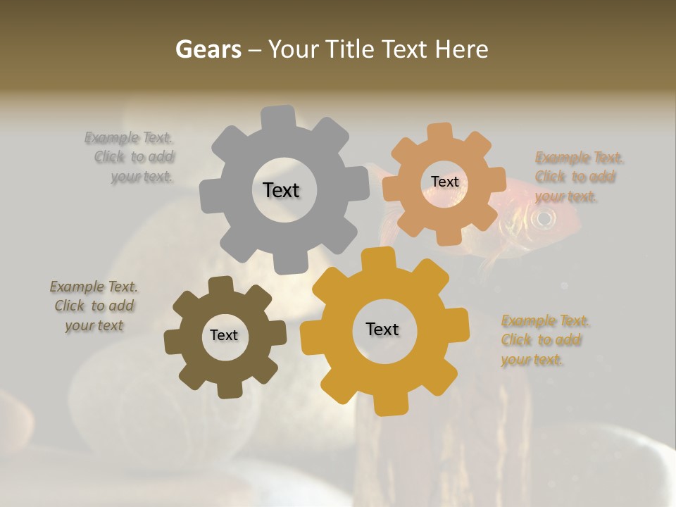 Pet Stone Reflection PowerPoint Template