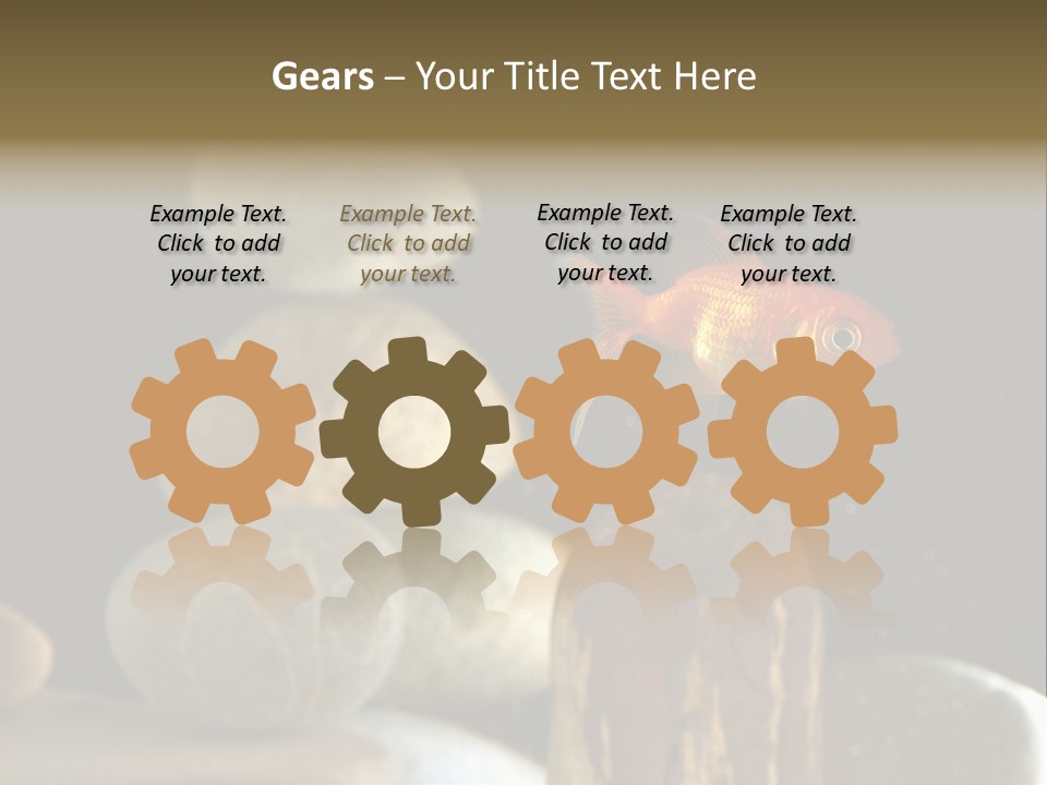 Pet Stone Reflection PowerPoint Template