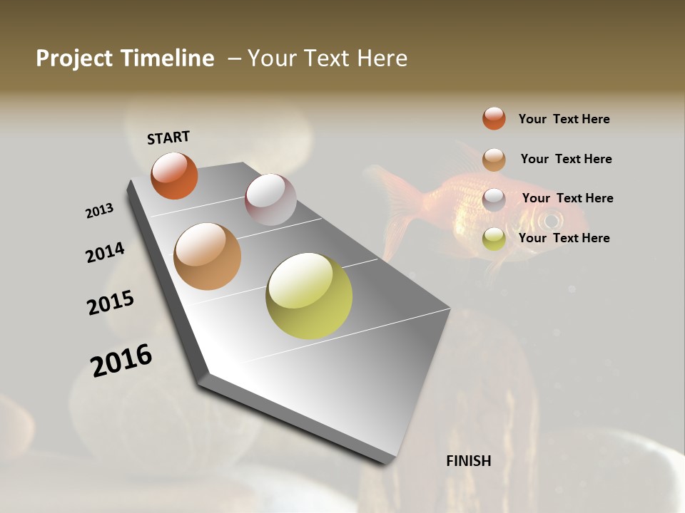 Pet Stone Reflection PowerPoint Template