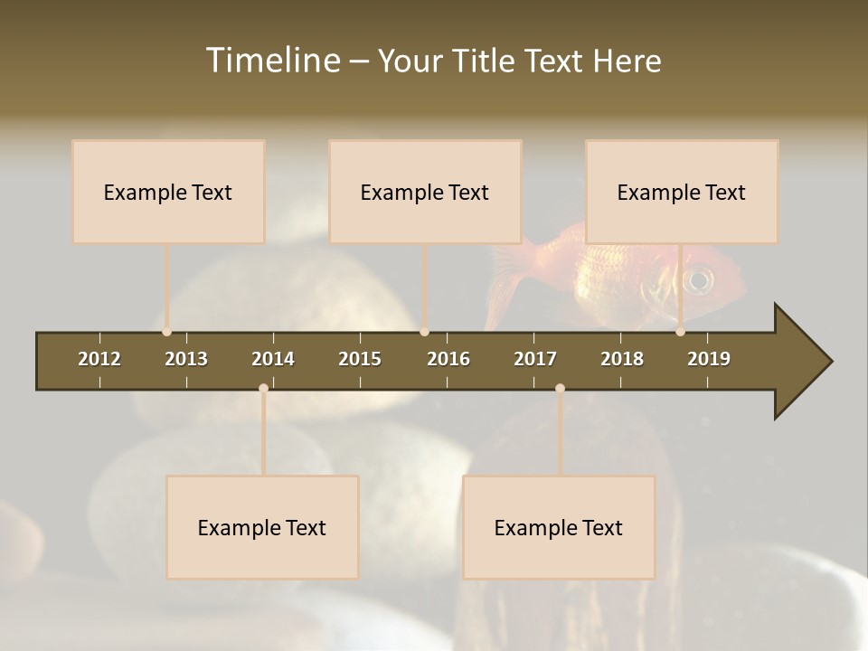 Pet Stone Reflection PowerPoint Template