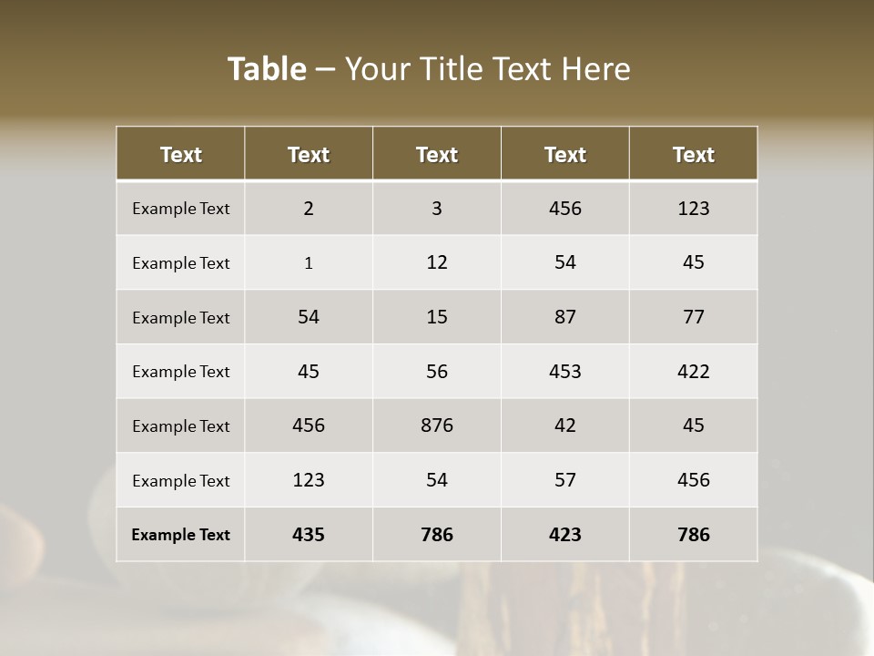Pet Stone Reflection PowerPoint Template