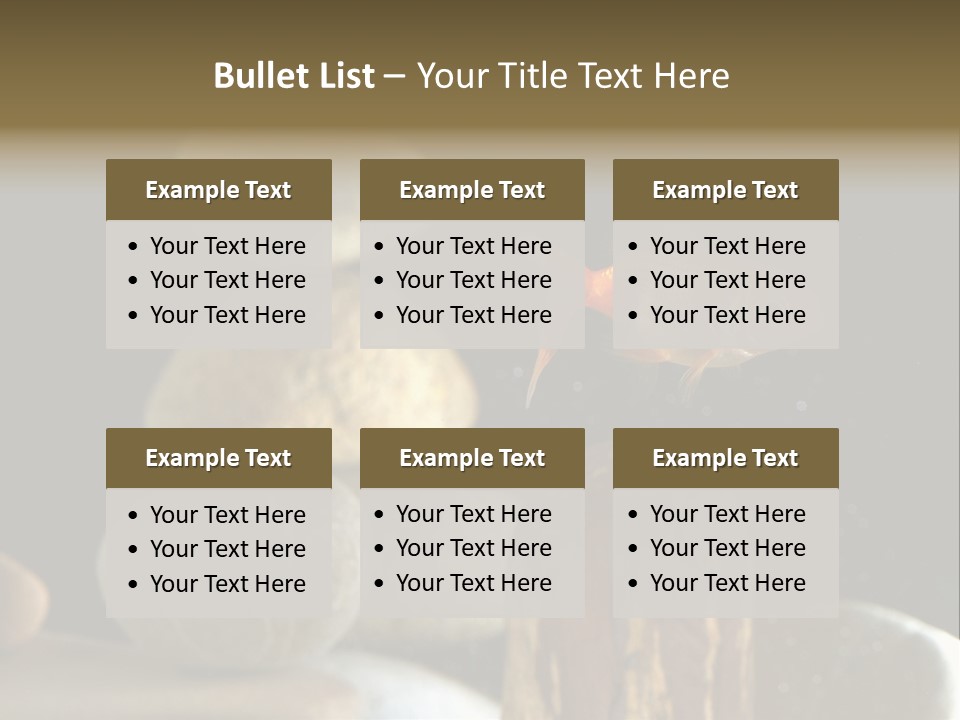 Pet Stone Reflection PowerPoint Template