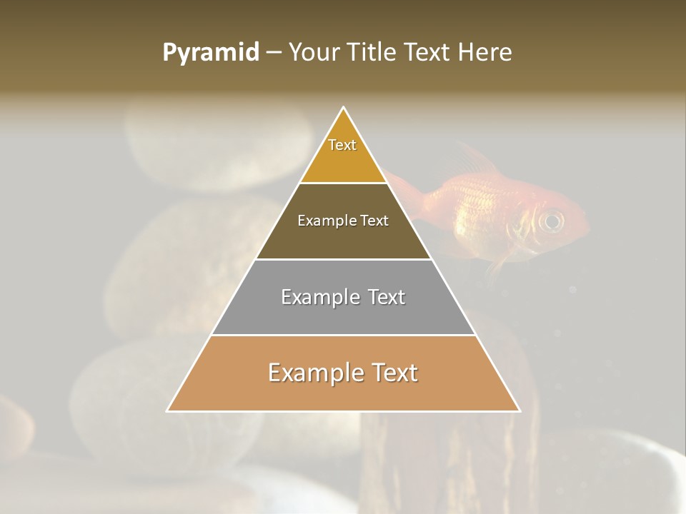 Pet Stone Reflection PowerPoint Template