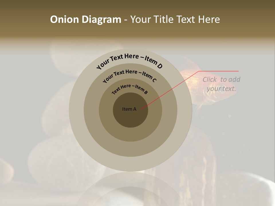 Pet Stone Reflection PowerPoint Template