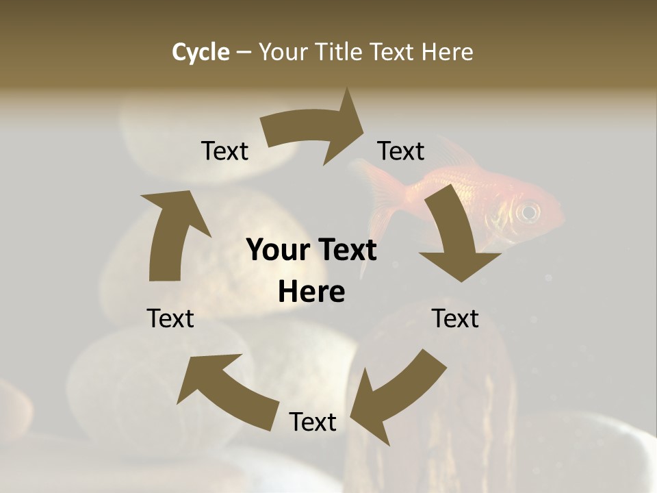 Pet Stone Reflection PowerPoint Template