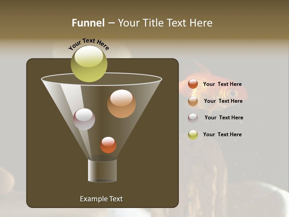 Pet Stone Reflection PowerPoint Template