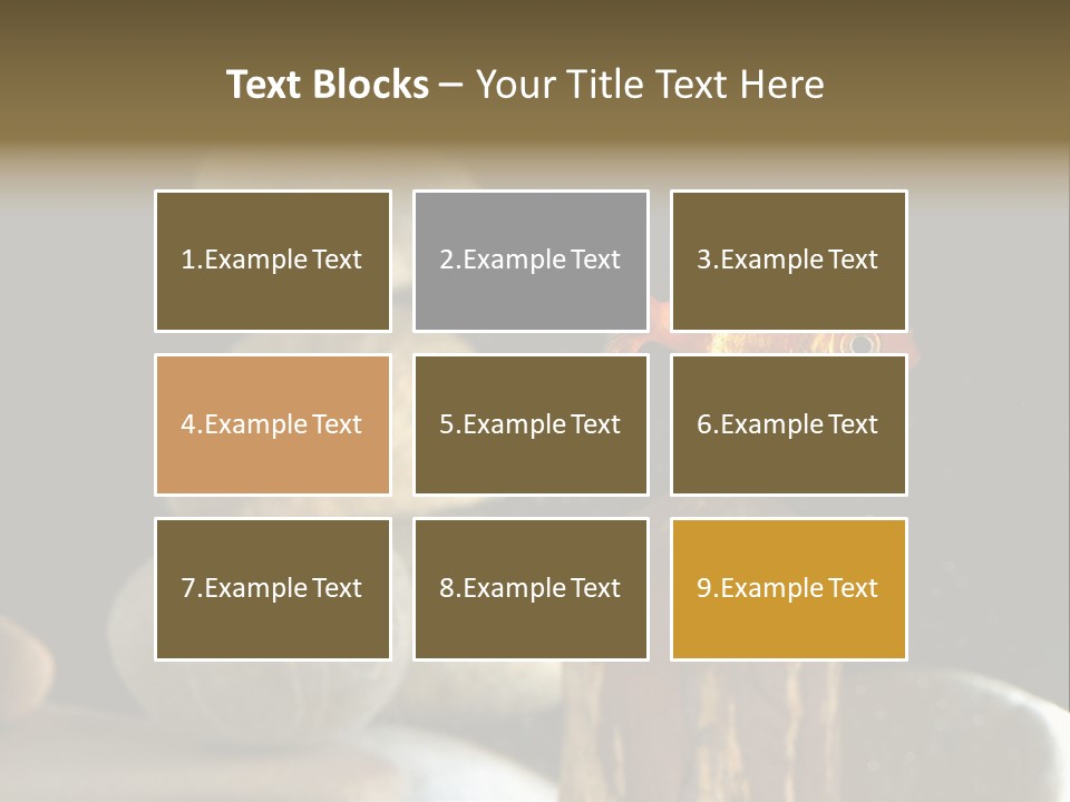 Pet Stone Reflection PowerPoint Template