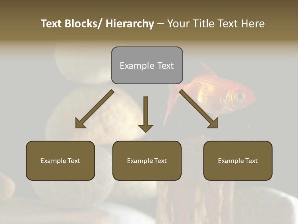 Pet Stone Reflection PowerPoint Template