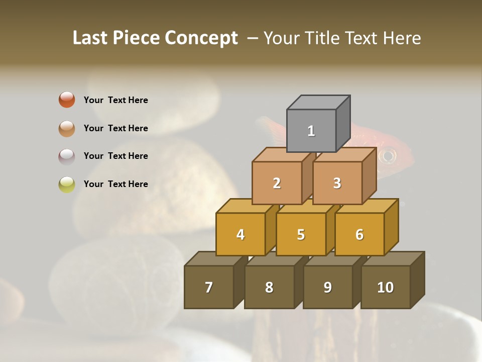 Pet Stone Reflection PowerPoint Template