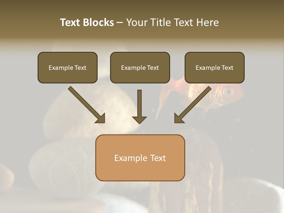 Pet Stone Reflection PowerPoint Template