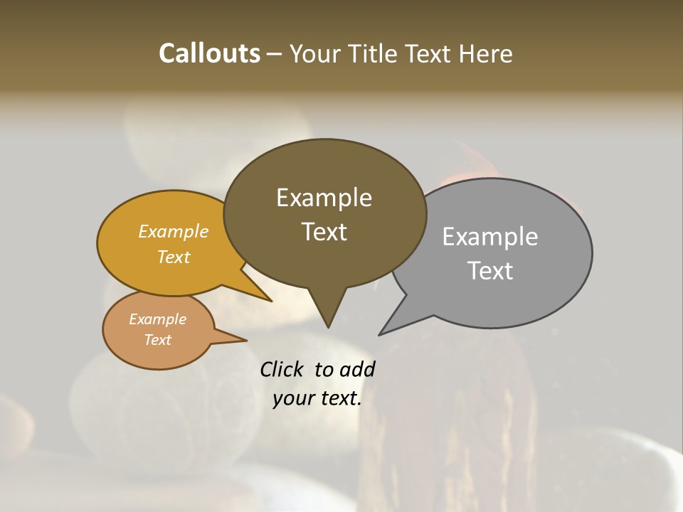 Pet Stone Reflection PowerPoint Template