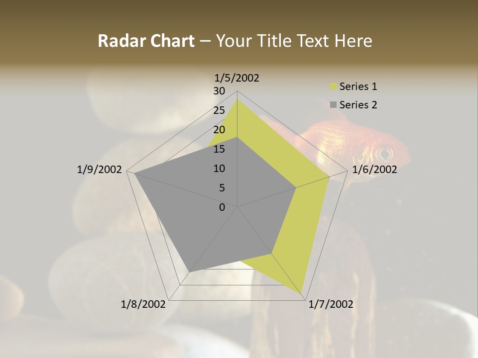 Pet Stone Reflection PowerPoint Template