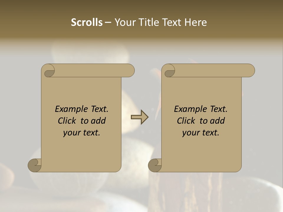 Pet Stone Reflection PowerPoint Template