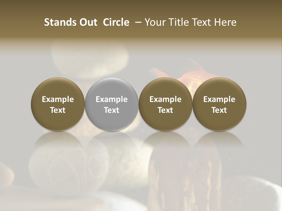 Pet Stone Reflection PowerPoint Template