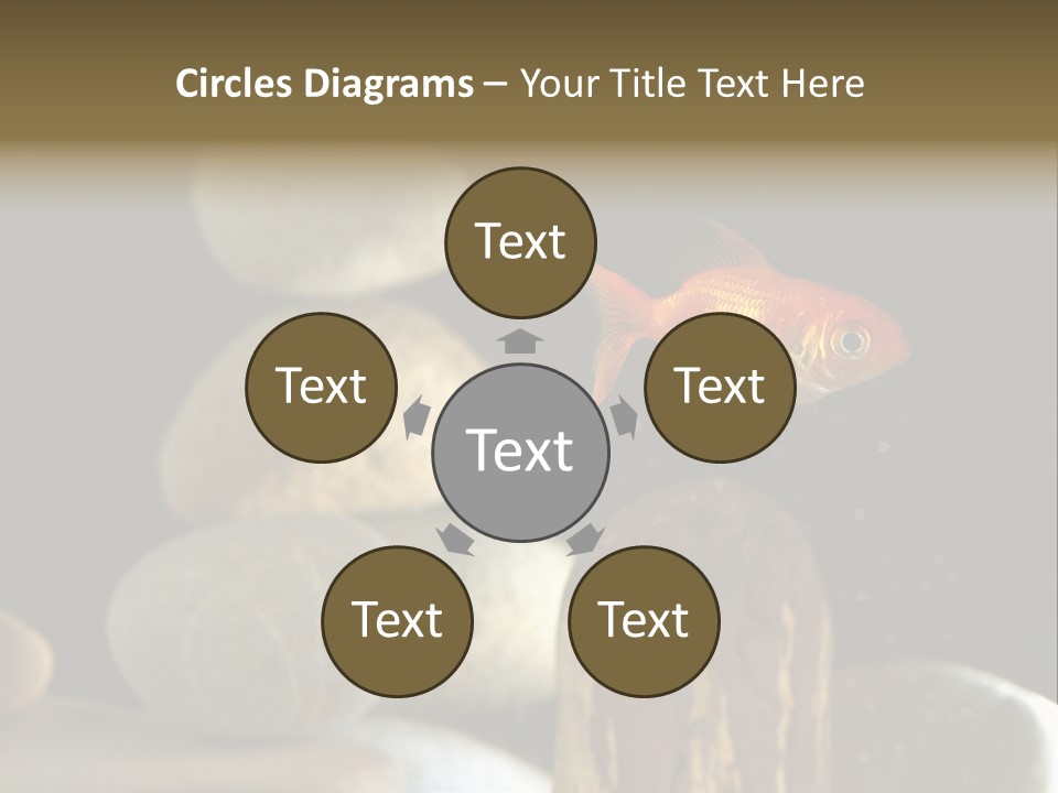 Pet Stone Reflection PowerPoint Template