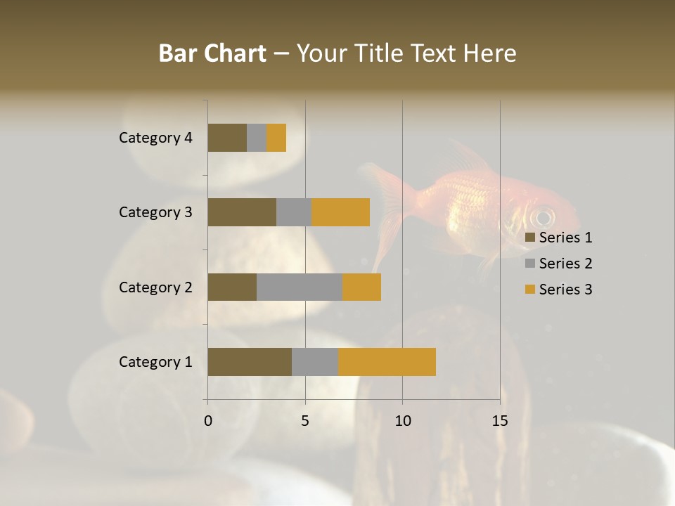 Pet Stone Reflection PowerPoint Template