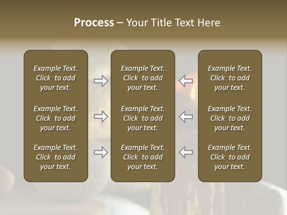 Pet Stone Reflection PowerPoint Template