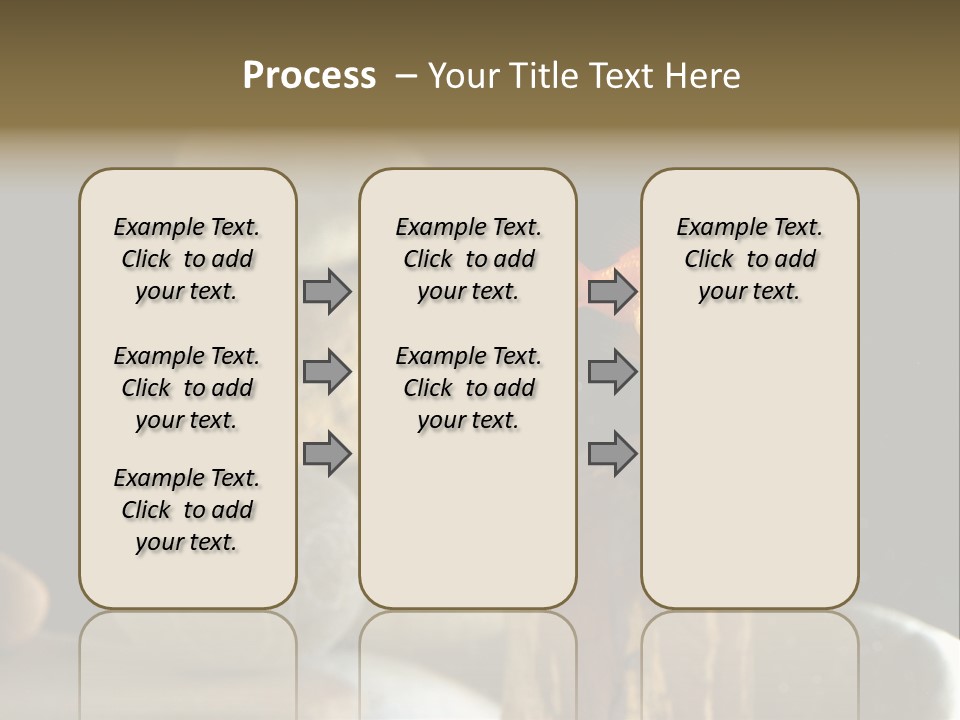 Pet Stone Reflection PowerPoint Template