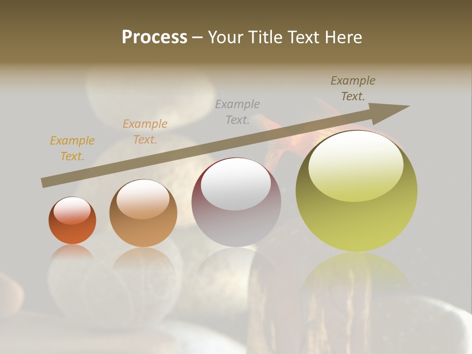 Pet Stone Reflection PowerPoint Template