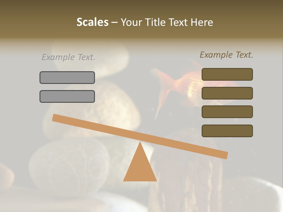 Pet Stone Reflection PowerPoint Template