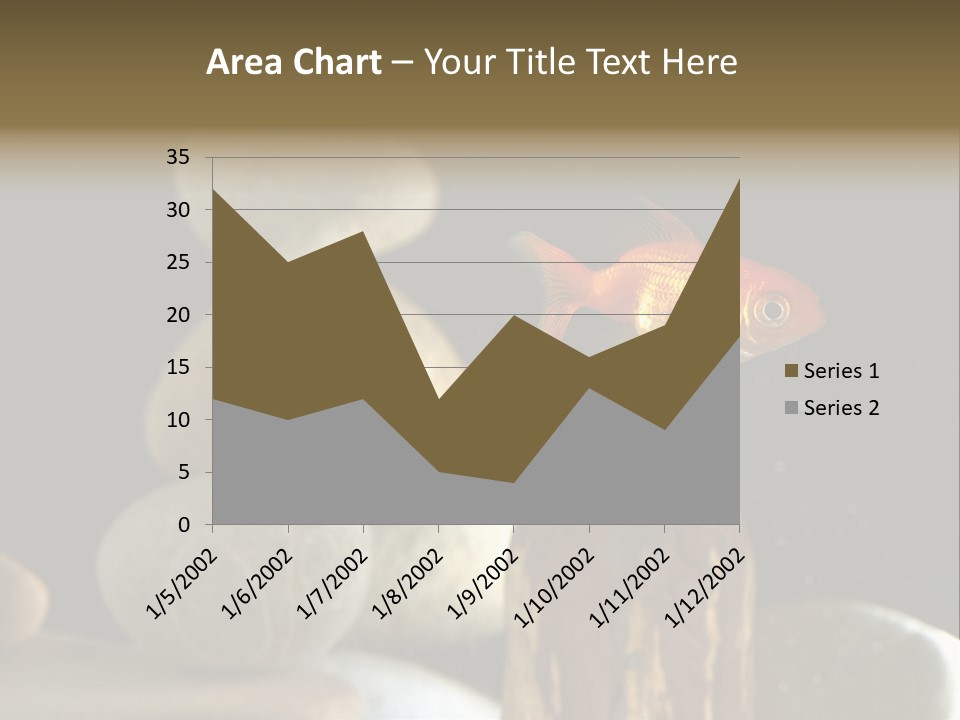 Pet Stone Reflection PowerPoint Template