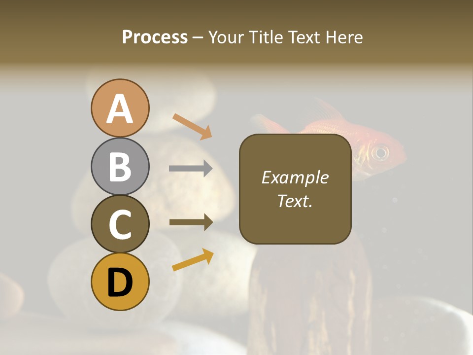 Pet Stone Reflection PowerPoint Template
