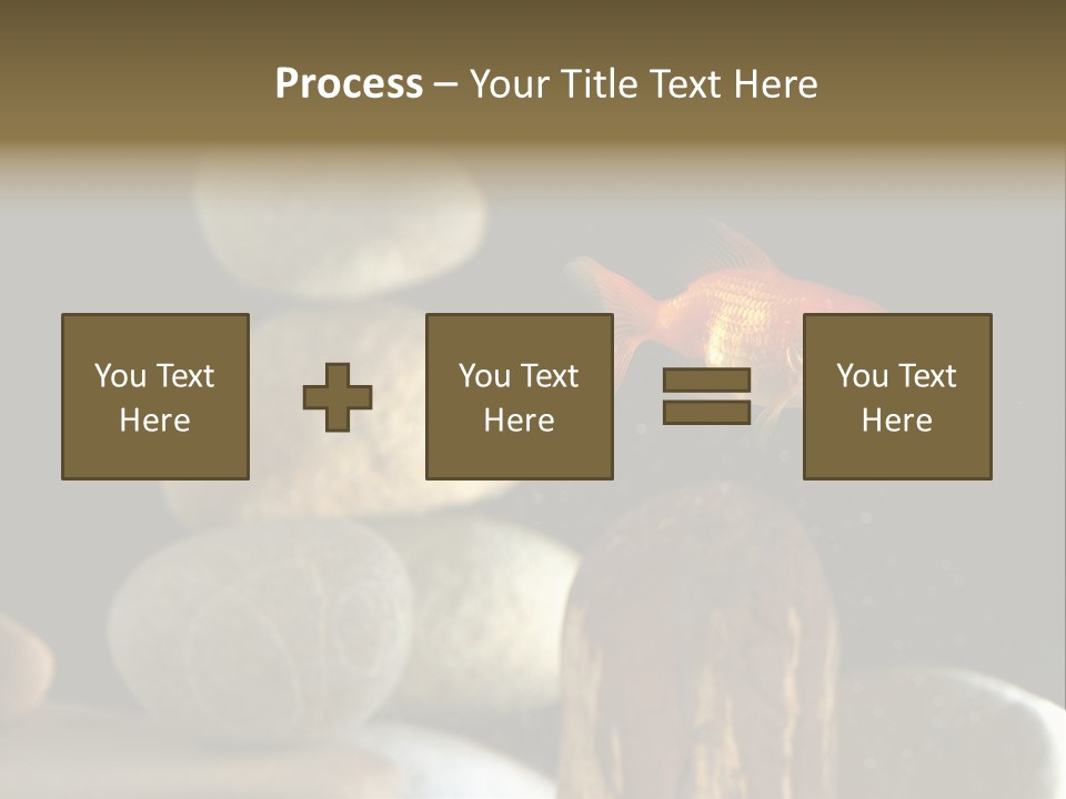 Pet Stone Reflection PowerPoint Template
