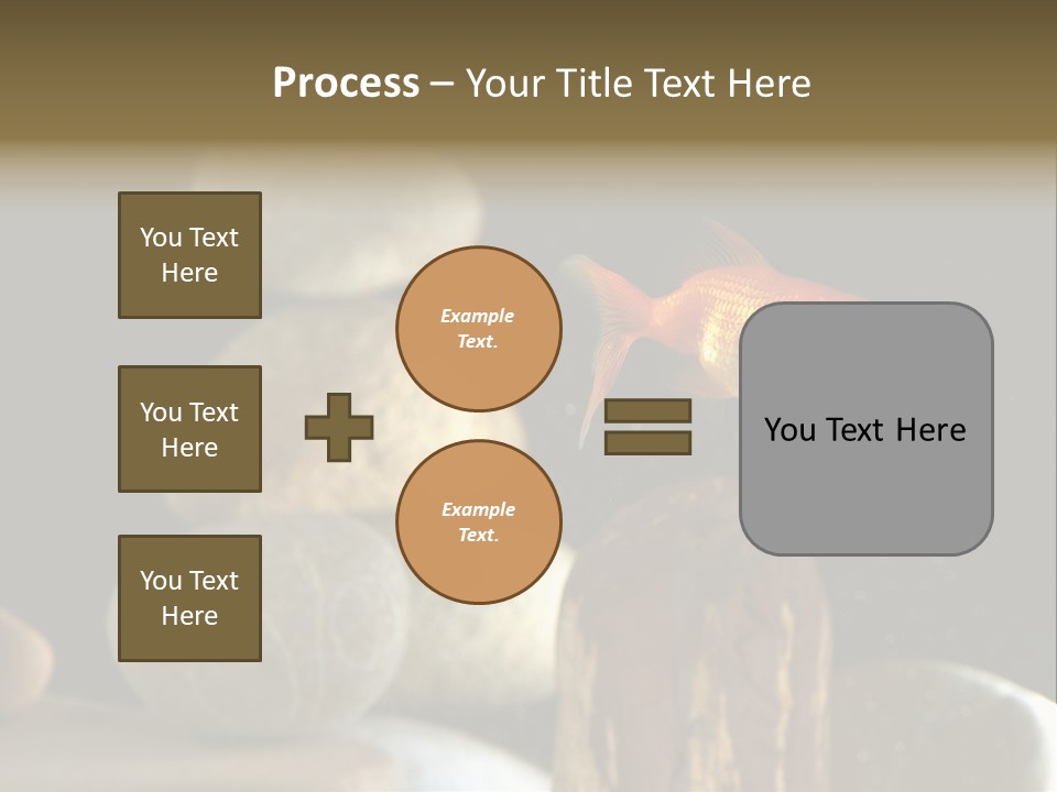 Pet Stone Reflection PowerPoint Template