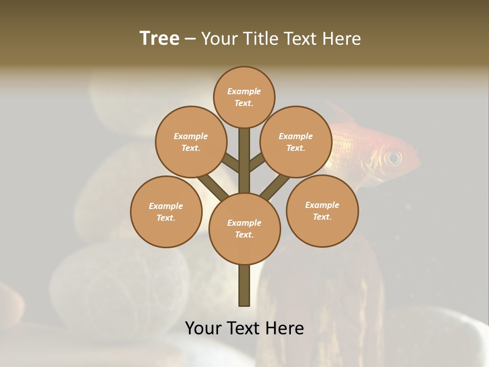 Pet Stone Reflection PowerPoint Template