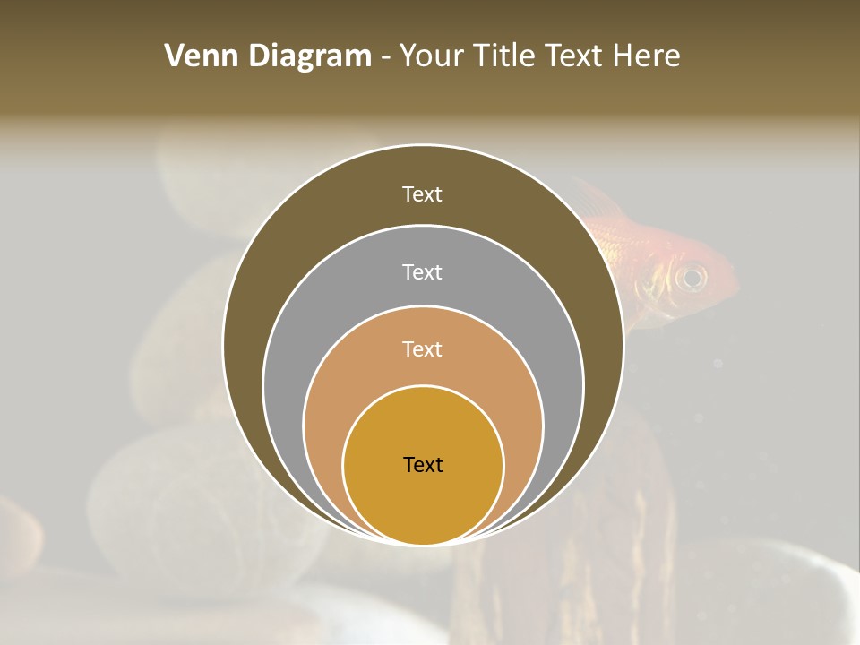 Pet Stone Reflection PowerPoint Template