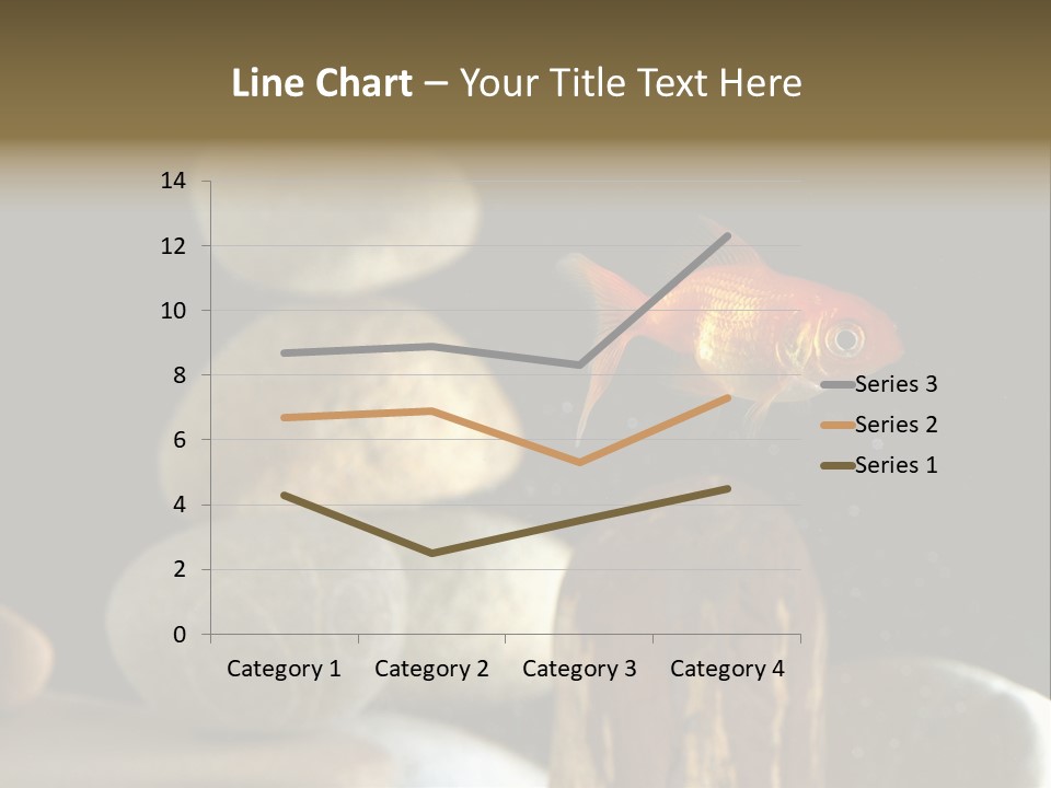 Pet Stone Reflection PowerPoint Template